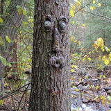 Décoration Extérieure de Visage d'Arbre