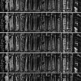 Piège à souris à détection