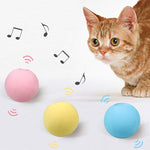 Balle de Jouet pour Chat qui Aboie par Gravité