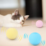 Balle de Jouet pour Chat qui Aboie par Gravité