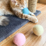 Balle de Jouet pour Chat qui Aboie par Gravité