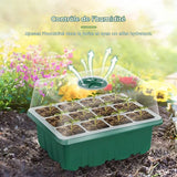 Plateaux de démarrage de graines avec lumière de croissance, 5 ensembles