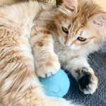 Balle de Jouet pour Chat qui Aboie par Gravité
