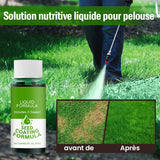 Nutriment liquide pour pelouse