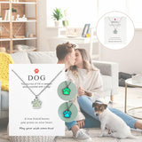 Collier de patte de chien