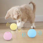 Balle de Jouet pour Chat qui Aboie par Gravité