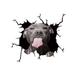 Autocollant chien créatif pour fenêtre de voiture
