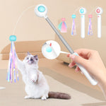 Bâton de Taquin Laser Télescopique pour Animaux de Compagnie