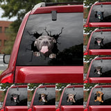 Autocollant chien créatif pour fenêtre de voiture