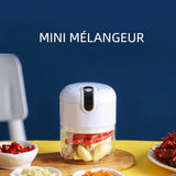 Mini Mixeur Pratique