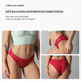 Sous-vêtements en coton de couleur unie pour femmes