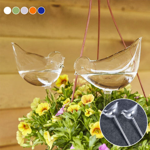 Ampoules en verre pour plantes auto-arrosantes