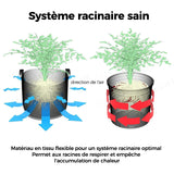 Sacs de Culture de Pommes de Terre