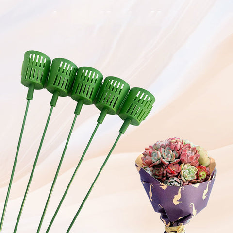 Bouquet Spécial pour Succulentes