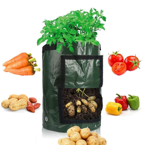 Sacs de Culture de Pommes de Terre