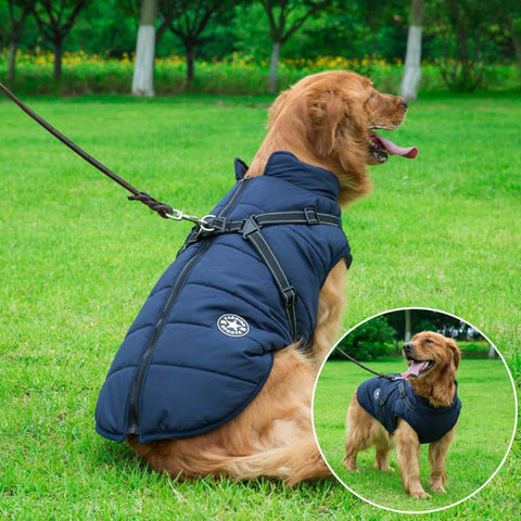 Veste d'Hiver Imperméable pour Chien