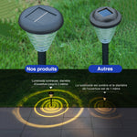 Lampes de pelouse solaires étanches(2 PCS)