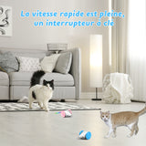 Jouet souris automatique pour chat