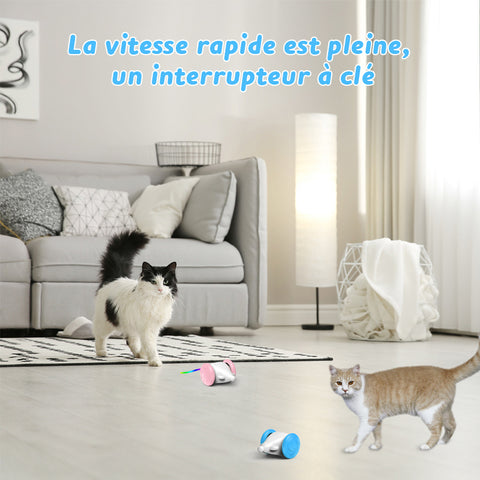 Jouet souris automatique pour chat