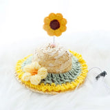 Chapeau de paille pour animaux de compagnie