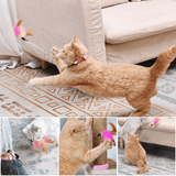 Jouets interactifs amusants pour chats