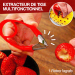 Décortiqueur de tiges de fruits polyvalent