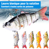 Jeu de leurres de natation bioniques