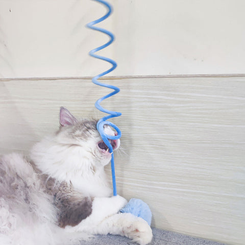 Bâton De Chat Taquin à Ventouse
