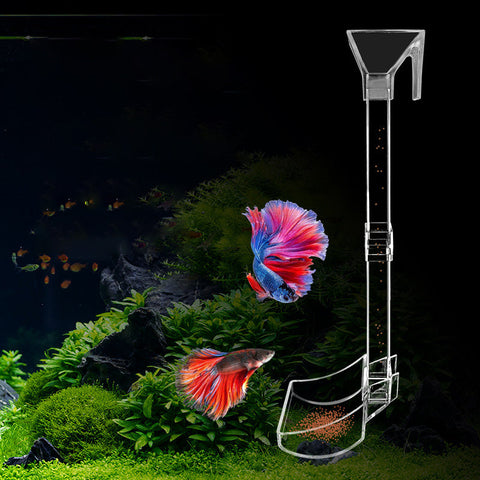 Tube d'alimentation pour aquarium