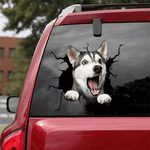Autocollant chien créatif pour fenêtre de voiture