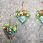 Planter Une Jardinière de Poche en Forme de Cœur Succulent