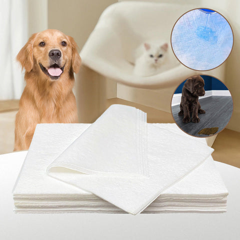 Papier absorbant pour animaux de compagnie