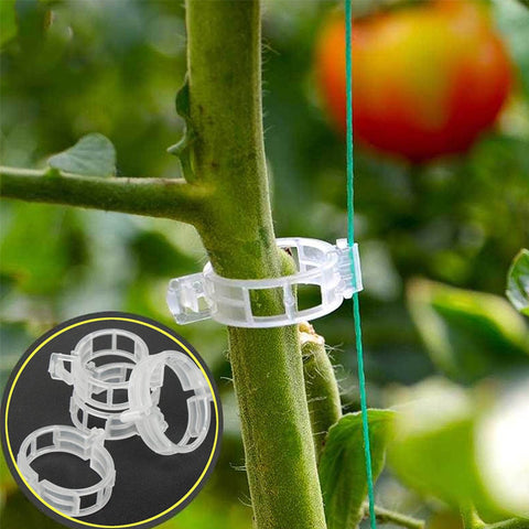 Anneau en plastique pour maintenir les plantes