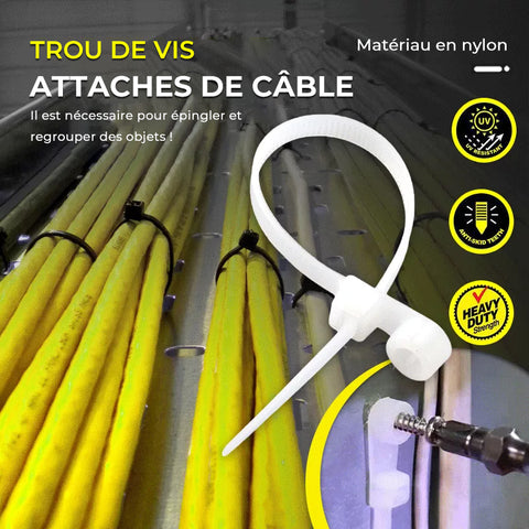 Attaches de Câble à Trou de Vis