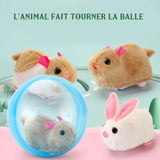 Jouet balle de course pour hamster