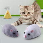 Télécommande Souris Souris