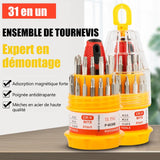 Jeu de Tournevis 31 en un