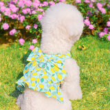 Manteau de Traction pour Animaux de Compagnie