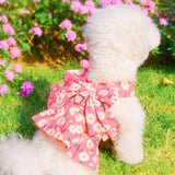 Manteau de Traction pour Animaux de Compagnie