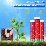 Engrais de jardin universel à libération lente sous forme de comprimés