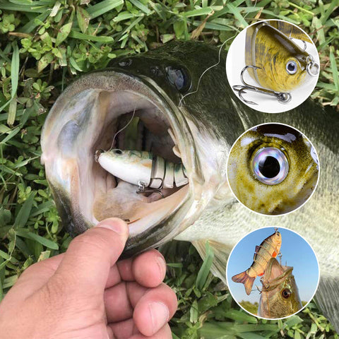 Jeu de leurres de natation bioniques