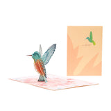 Carte 3D de Colibri