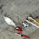 Canne à pêche de poche