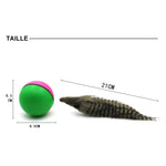 Castor Beaver Ball Electric Pour Chien - ciaovie