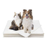Papier absorbant pour animaux de compagnie