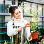Anneau en plastique pour maintenir les plantes