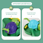 Tortue Gourmande Jouet de Haricot