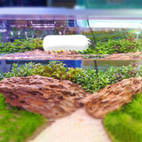 Grattoir Magnétique pour Aquarium