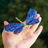 Libellule Aura Tourmaline Kyanite
