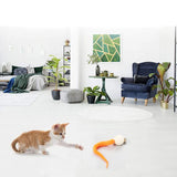 Jouet pour chat bancal avec grelots